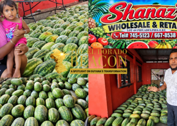 Mother of Three Expands from Kitchen Gardening to Watermelon Wholesale and Retail Business in Philadelphia